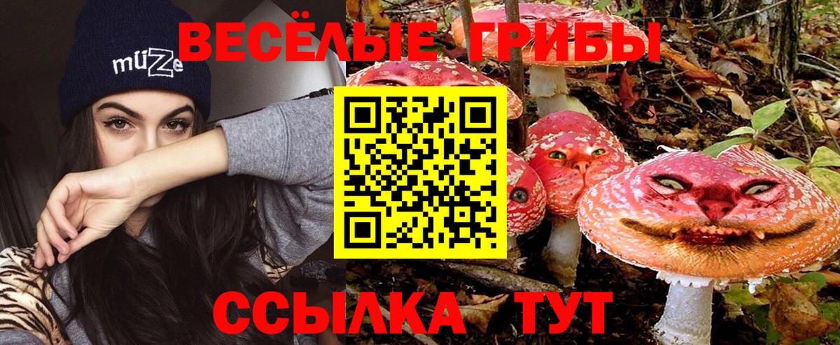Псилоцибиновые грибы GOLDEN TEACHER  Псилоцибиновые грибы мицелий  Грозный  Вход с VPN 